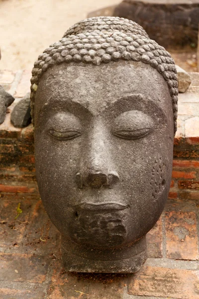 Tête de Bouddha, Ayutthaya — Photo