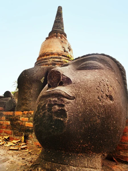 Głowa Buddy, Ayutthaya — Zdjęcie stockowe