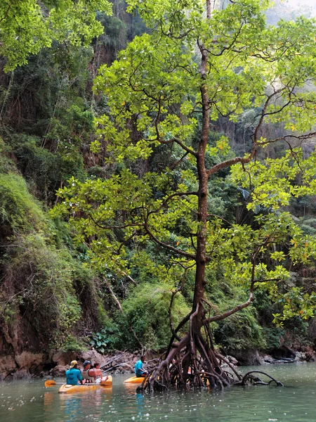 Kajakken in Pang Nga Baai, Thailand — Stockfoto