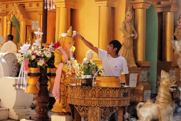 Joven birmano en la pagoda Shwedagon —  Fotos de Stock
