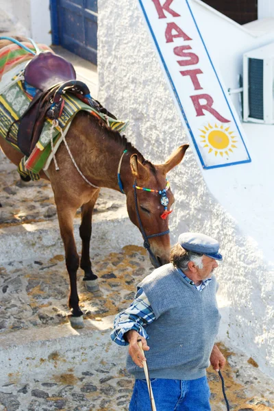 Greek man with donkey — Stock Photo, Image