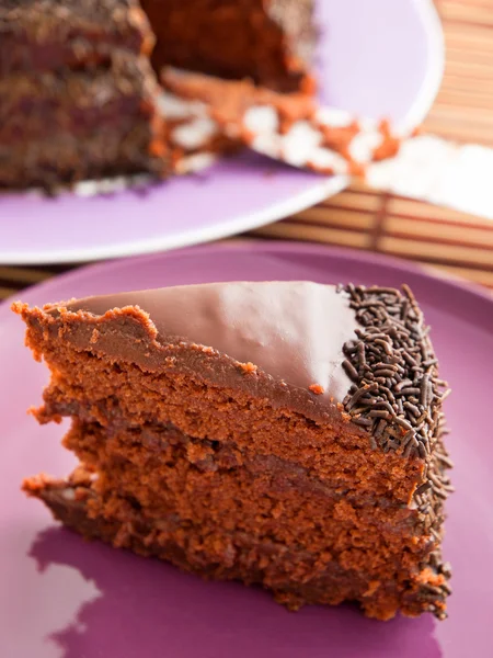 自家製のチョコレート ケーキ — ストック写真