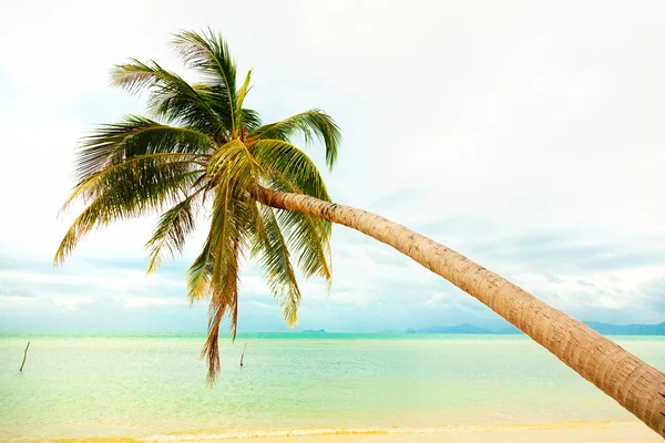 Praia de koh samui — Fotografia de Stock