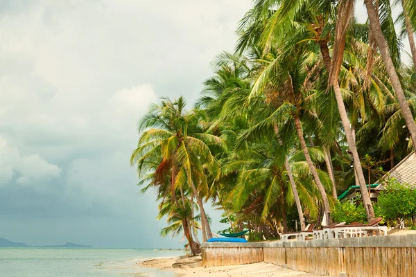 Koh samui plaża — Zdjęcie stockowe