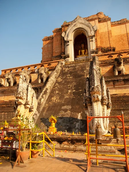 Wat Chedi Luang, Τσιάνγκ Μάι — Φωτογραφία Αρχείου