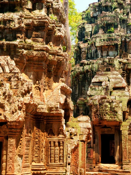 Ruinas de Ta Prohm, Angkor Wat —  Fotos de Stock