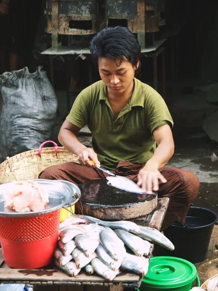 Бірманська чоловік продає свіжої риби — стокове фото