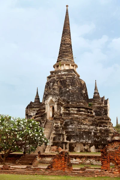 Wat Phra Si Sanphet, Ayuthaya —  Fotos de Stock