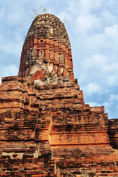 Wat Chaiwattanaram, Ayuthaya — Stock fotografie