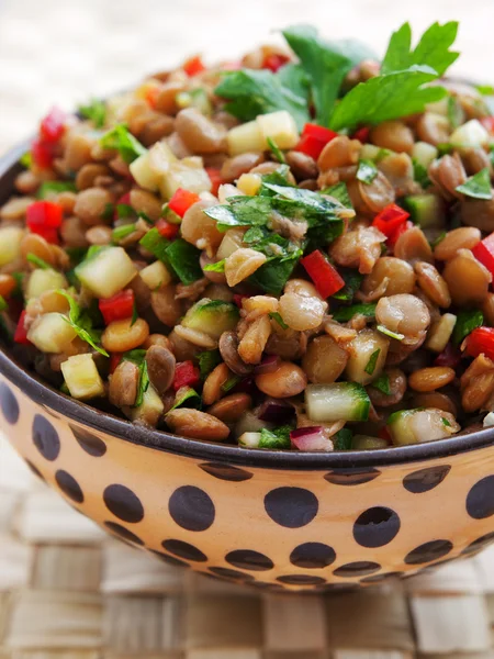 Salada de lentilha com pepinos — Fotografia de Stock