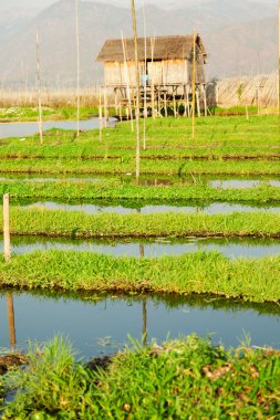 Köy evi Inle Gölü içinde yüzen