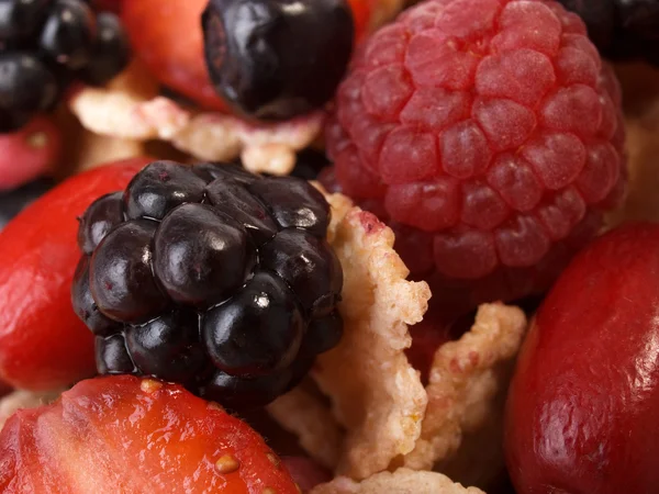 Зерновые завтраки с ягодами — стоковое фото