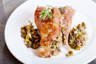 Doldurulmuş hindi budu