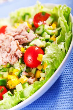 Ton balıklı salata salatalık ile