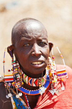 Portrait of an old masai man