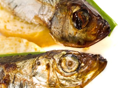 Arka plan hazırlanmış balık