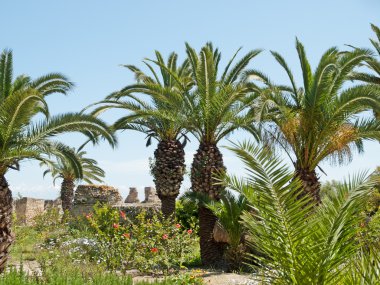 Carthage Tunus Roma Hamamı