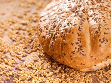 lezzetli ev yapımı ekmek