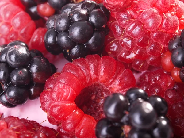 Tasty Berry yogurt — Stock Photo, Image