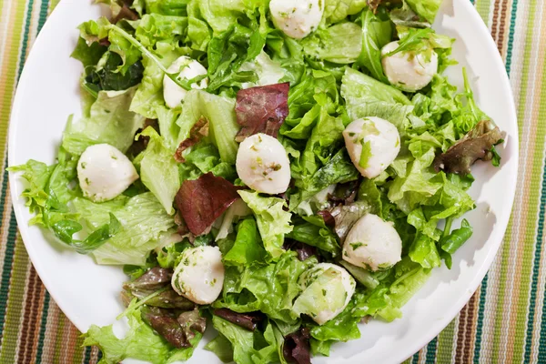 Salade verte avec mozzarella bébé — Photo