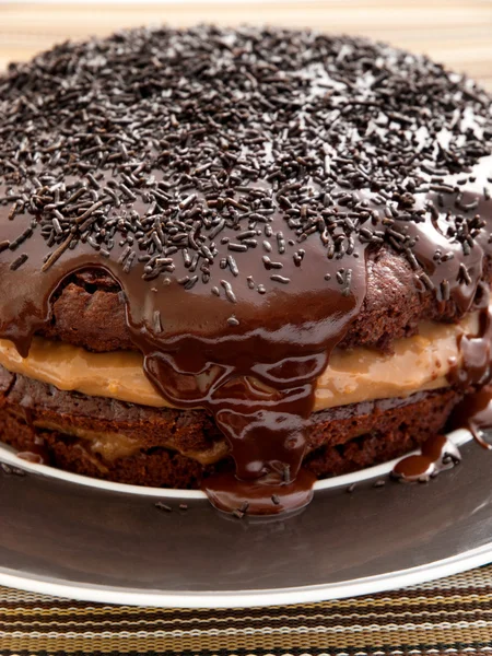 Domowe ciasto czekoladowe — Zdjęcie stockowe