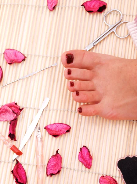 Woman pedicure spa — Stock Photo, Image