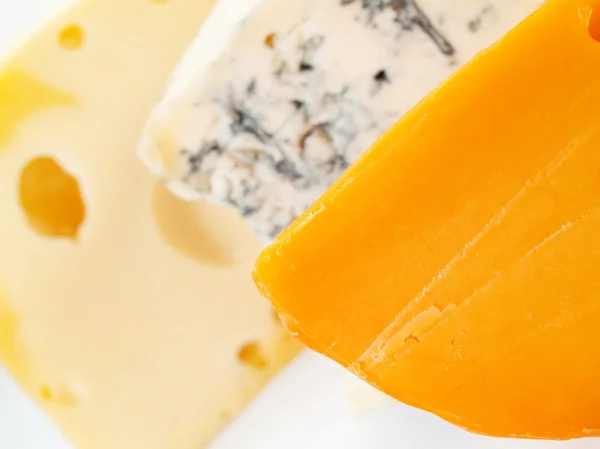 Bodegón de queso — Foto de Stock