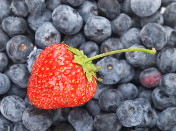 Tasty berries close up — Stock Photo, Image