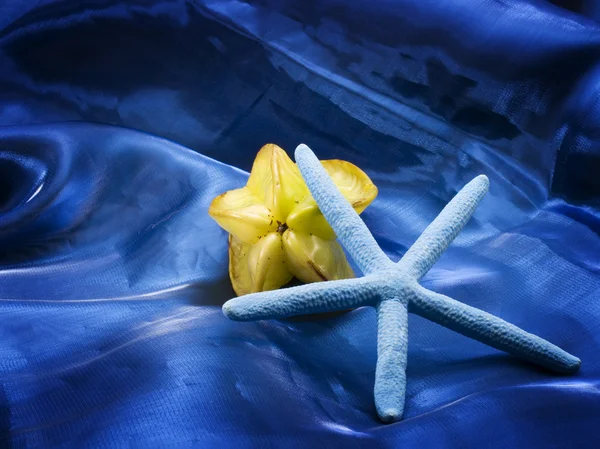 Starfruit and Starfish — Stock Photo, Image