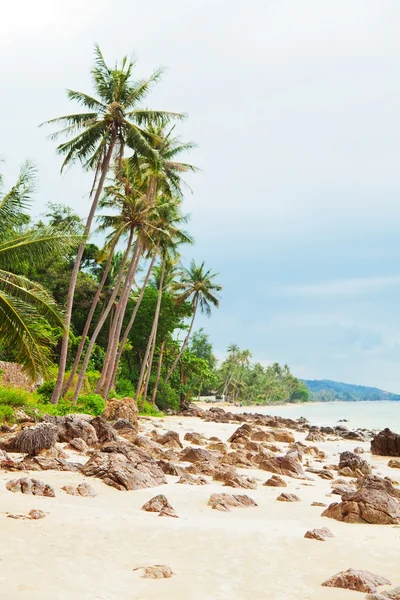 Koh samui plaża — Zdjęcie stockowe