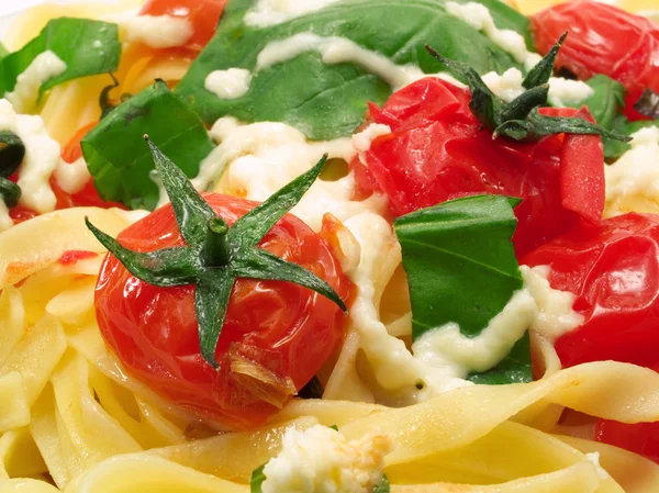 Fettucini med tomater, basilika och mozzarella — Stockfoto