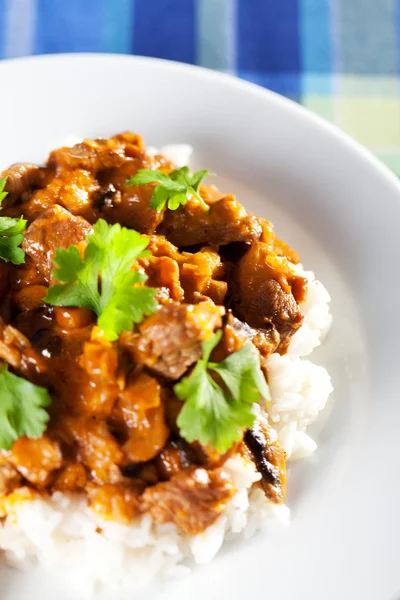 Varkensvlees curry met rijst — Stockfoto