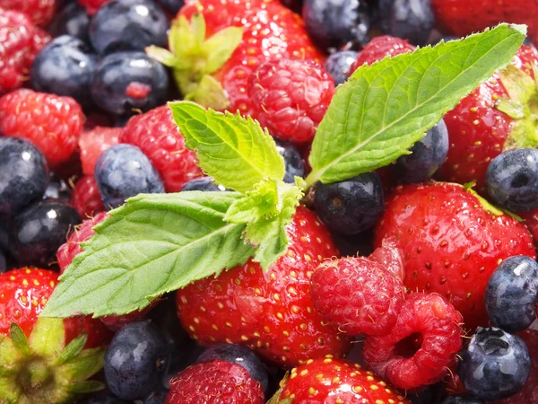 Tasty fresh Berries — Stock Photo, Image