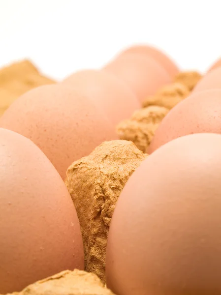 Raw Eggs on background — Stock Photo, Image