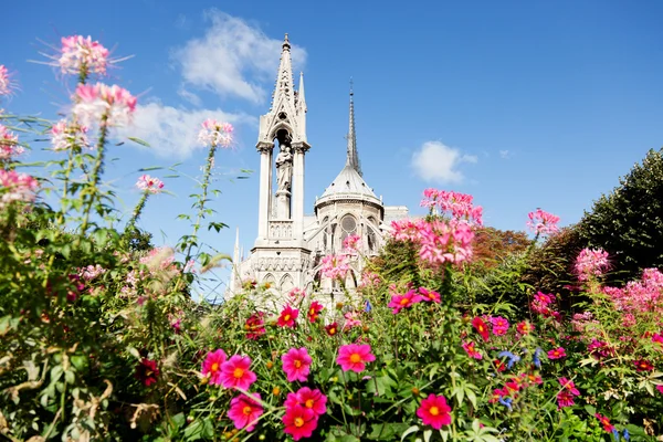 Notre Dame from Square du Jean XXIII — Stock Photo, Image