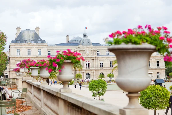 Jardín de Luxemburgo, París, Francia —  Fotos de Stock