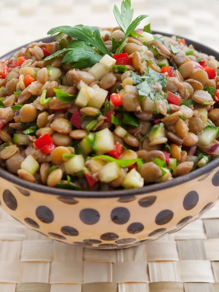 Linsensalat mit Gurken — Stockfoto