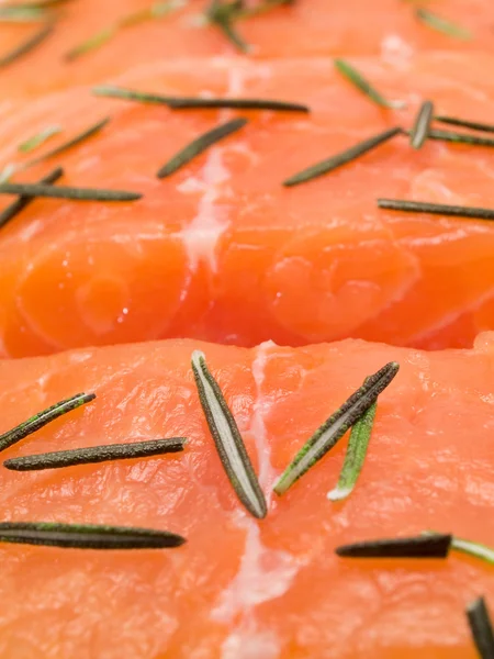 Rauwe zalm met rozemarijn — Stockfoto