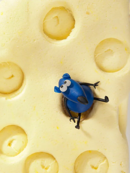 Souris sur gâteau fondant au fromage — Photo