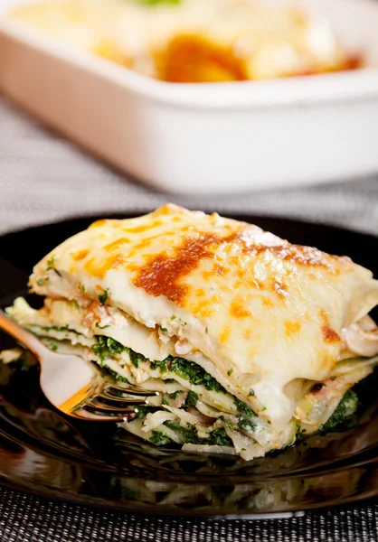 Lasagnes italiennes typiques — Photo