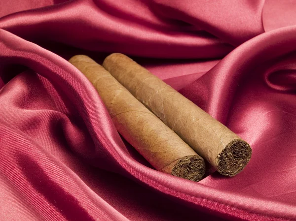 Expensive Cigars on background — Stock Photo, Image