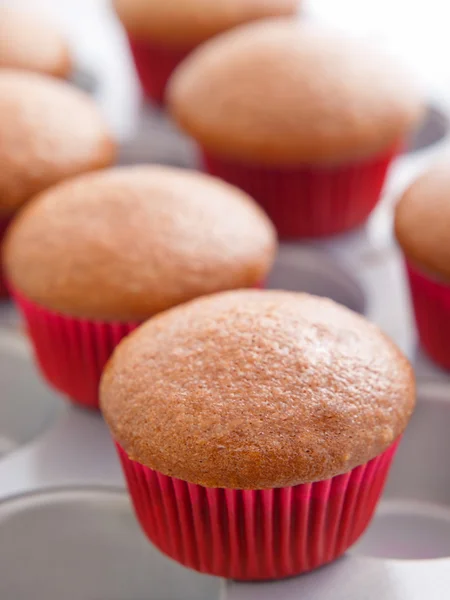 Cupcakes de baunilha no fundo — Fotografia de Stock