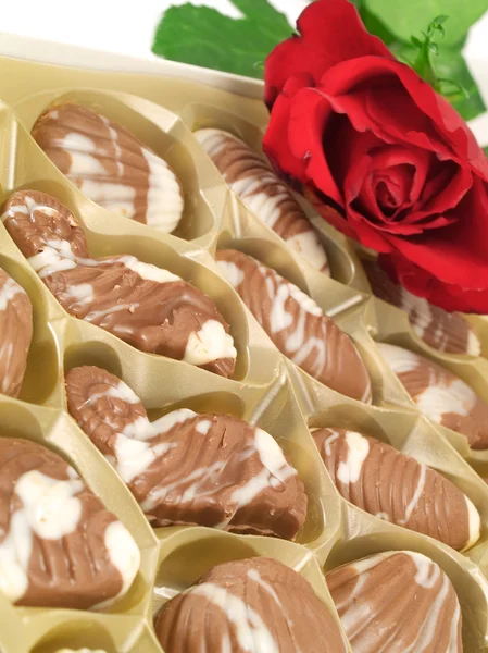 Caramelle al cioccolato e rosa rossa — Foto Stock