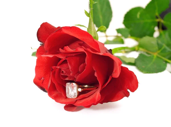 Engagement Ring with Rose — Stock Photo, Image