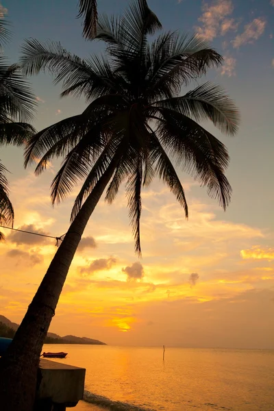 Praia de Koh Samui com palmeiras — Fotografia de Stock