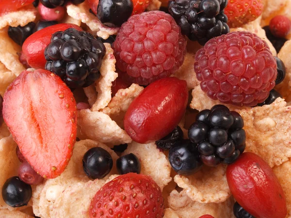 Cereal breakfast with berries — Stock Photo, Image