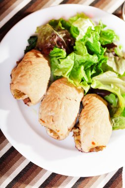 Türkiye nağmeleme otlar ile