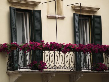 Venedik'te çiçeklerle tipik windows