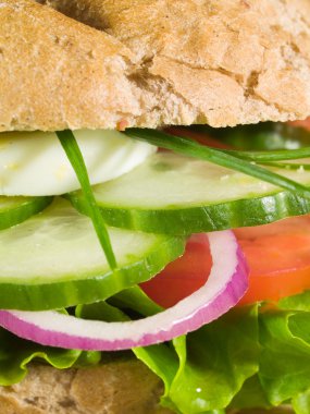 lezzetli vejetaryen sandviç