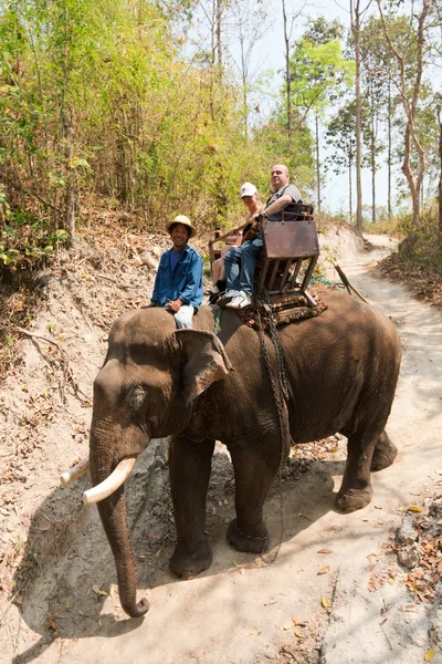 European tourists enjoing an elephant ride — 图库照片